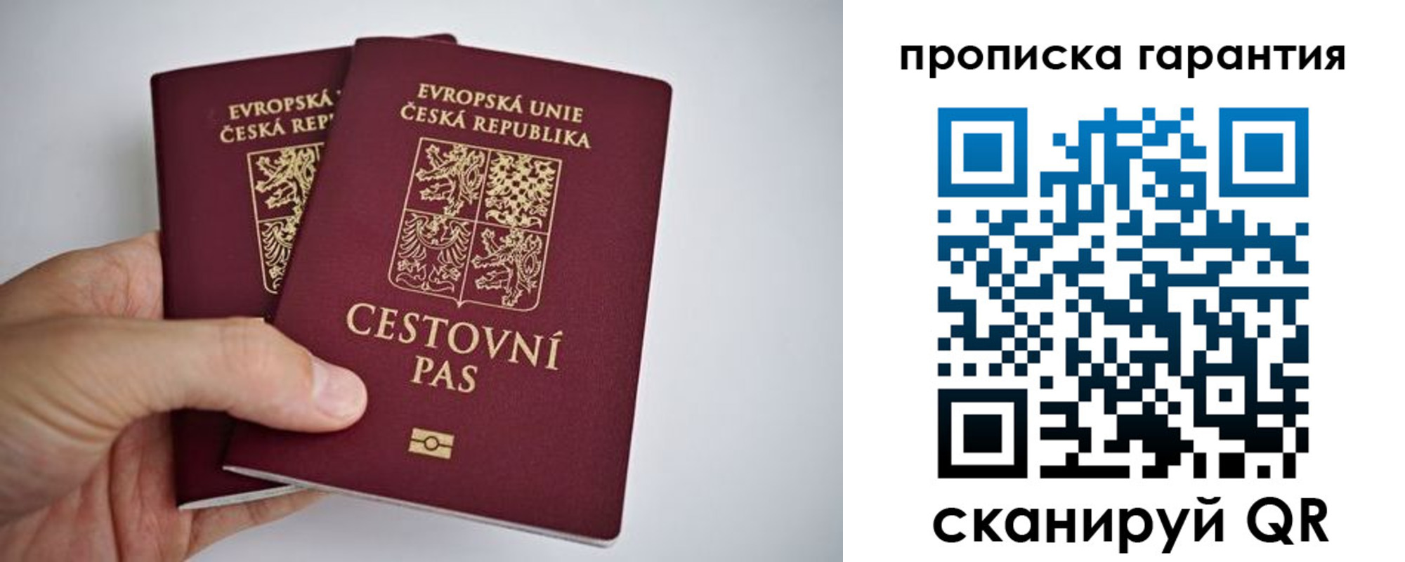 прописка в Козловке